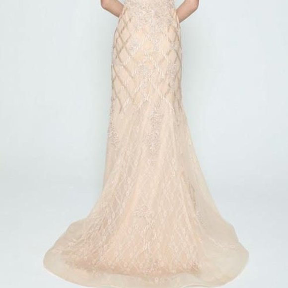 - Illusion V-Neck Sheath Shape Evening Dress JT677 - Picture 4 of 5